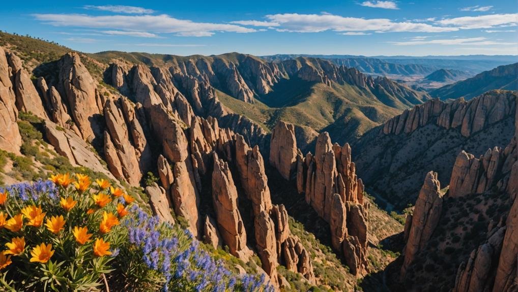 Pinnacles National Park