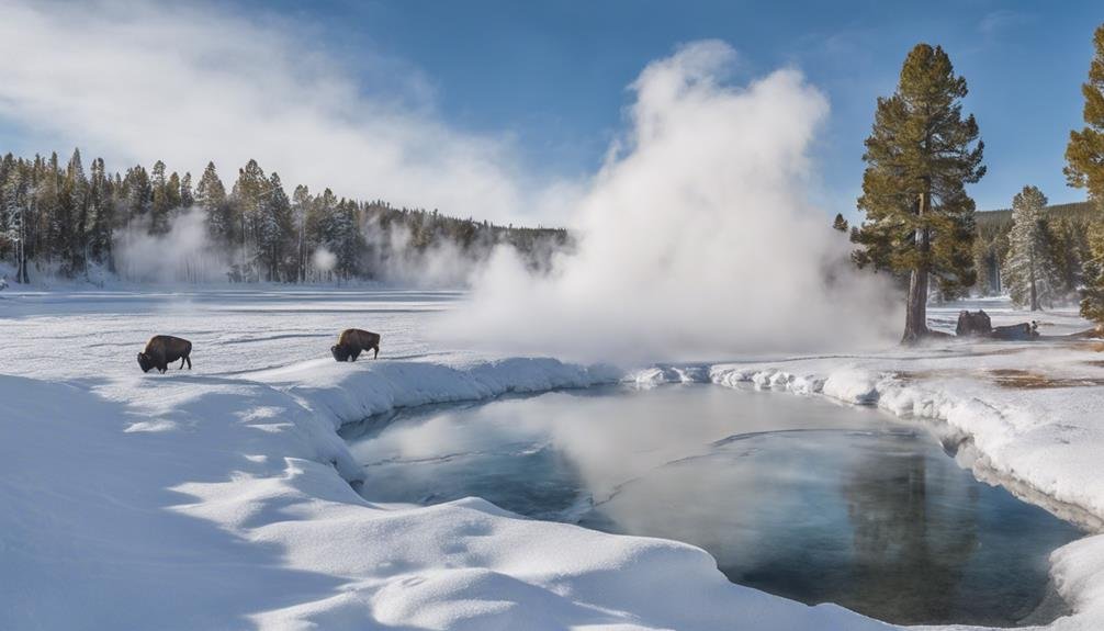 winter exploration adventures await | Yellowstone National Park Tours